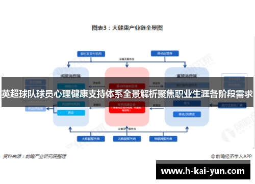 英超球队球员心理健康支持体系全景解析聚焦职业生涯各阶段需求