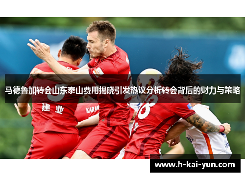 马德鲁加转会山东泰山费用揭晓引发热议分析转会背后的财力与策略